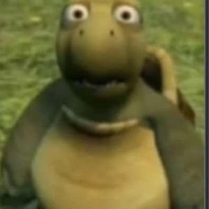 Meet your Posher, Helen